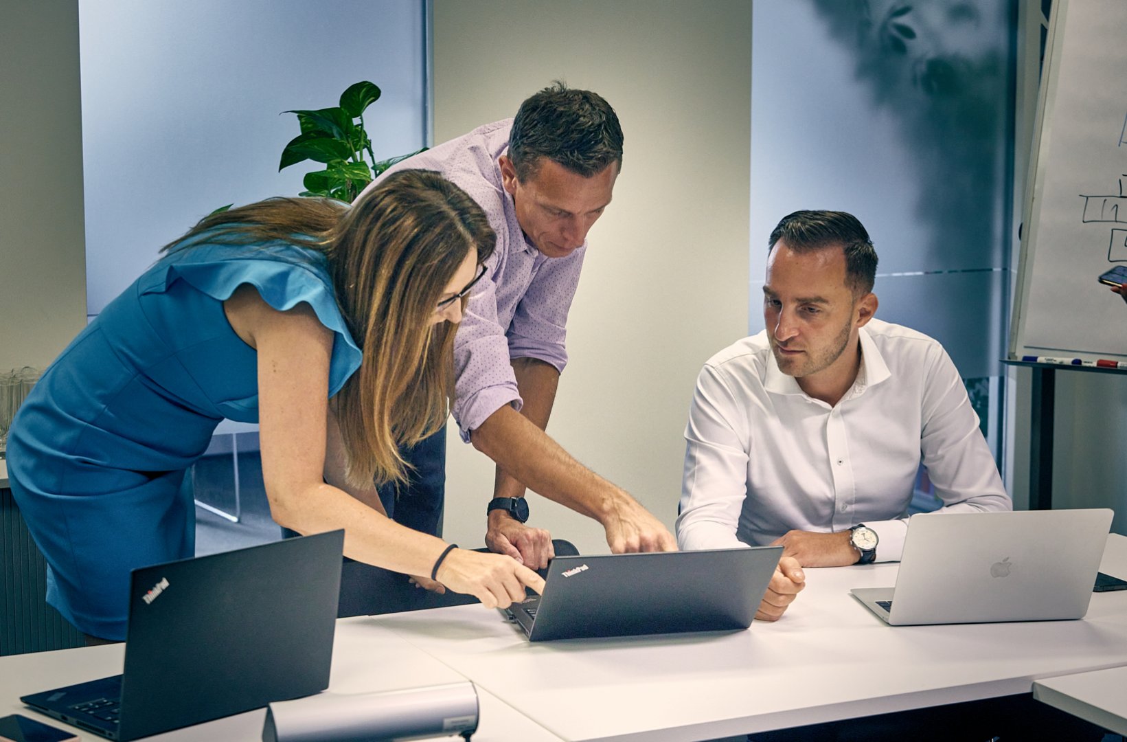 Accolade team collaboration