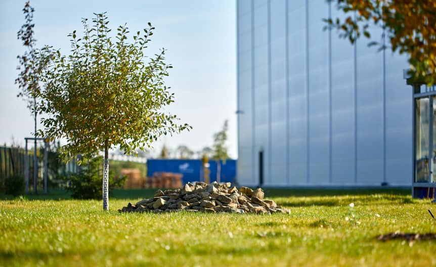 Accolade environmental initiatives - tree planting